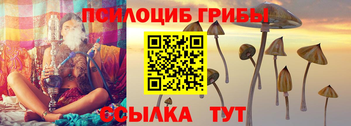 Псилоцибиновые грибы ЛСД Кропоткин